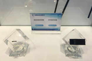 大唐微電子與晶科微電子攜手亮相第二屆生物識別博覽會，展現科技創新實力